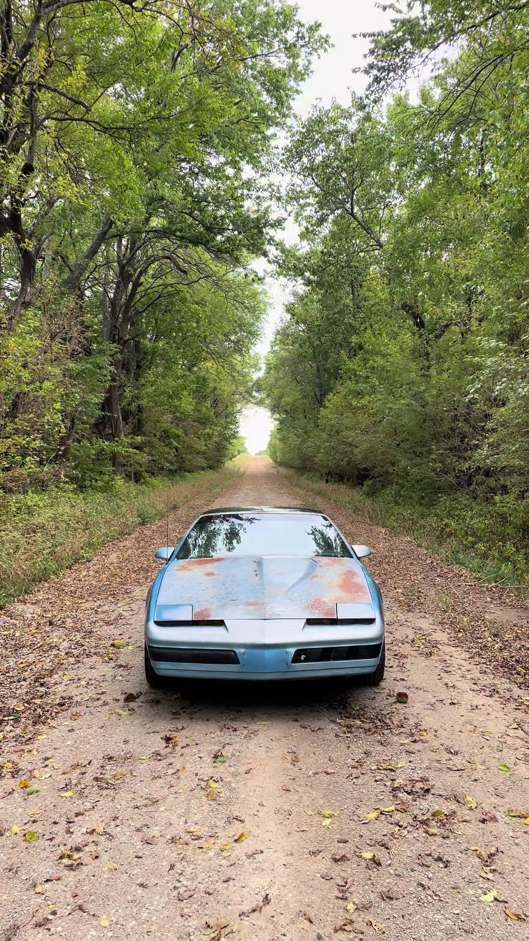 @august.dodson