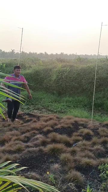 @rajali_aciel