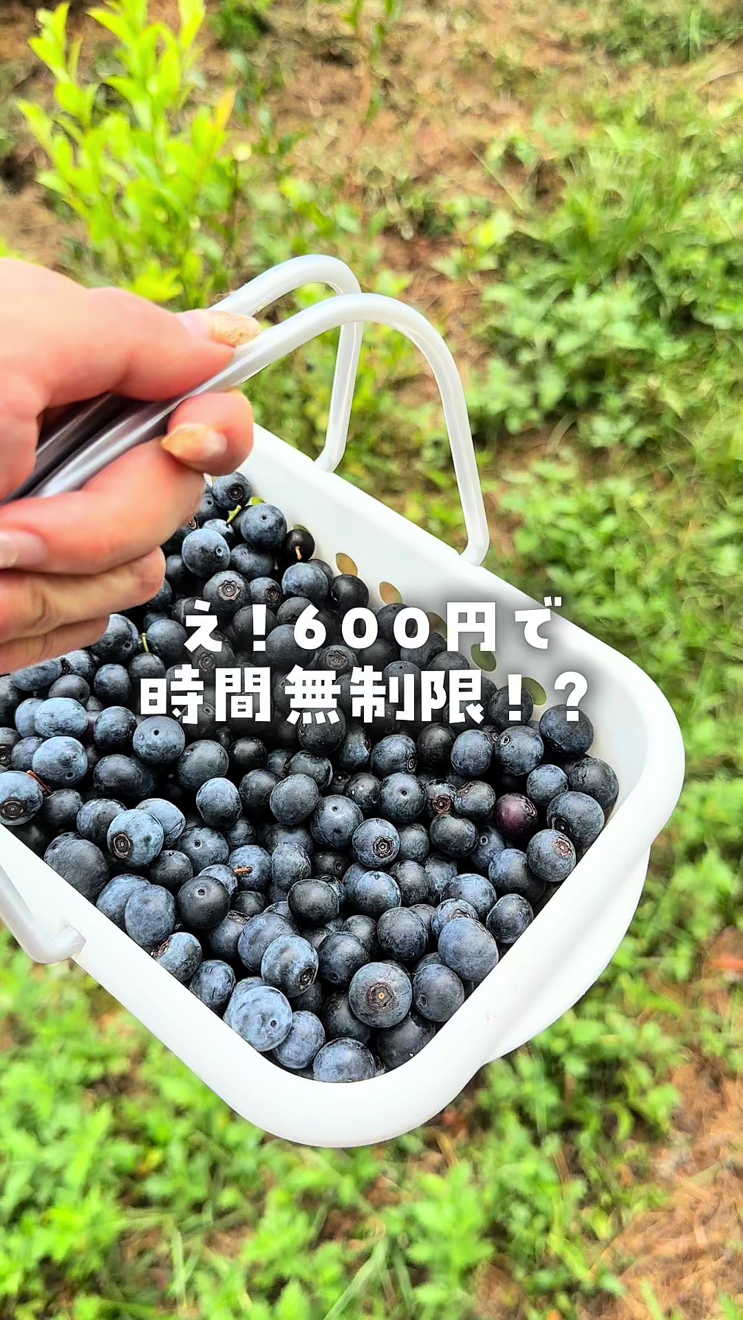 @さな/九州子連れお出かけ