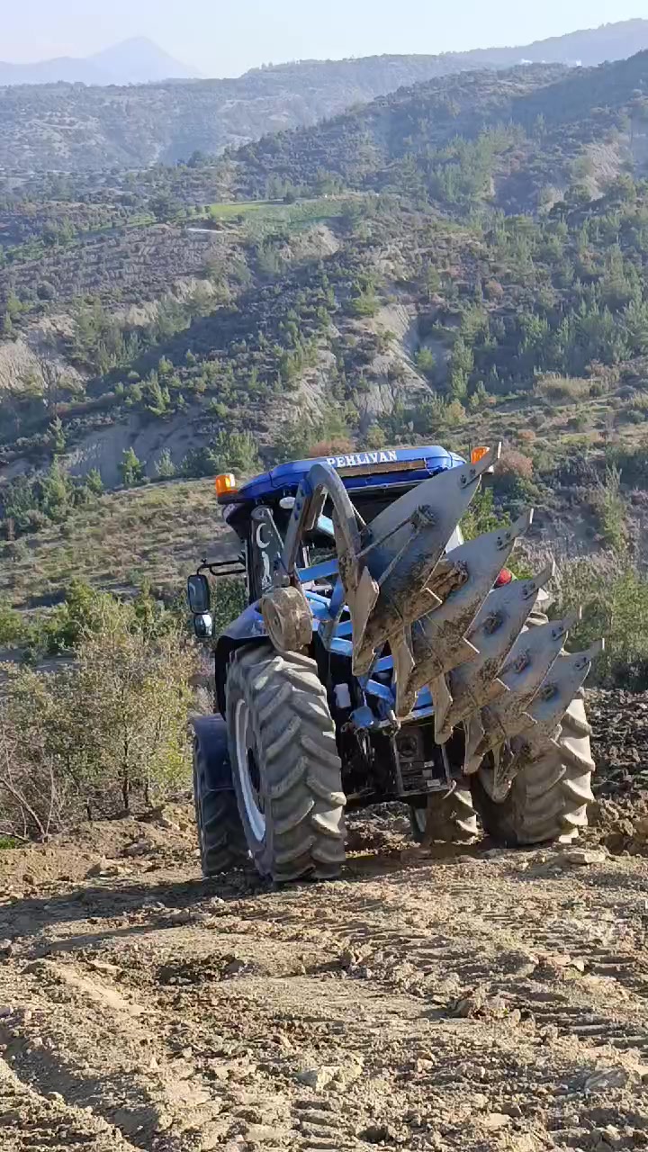 @Danyel Güler ☑️