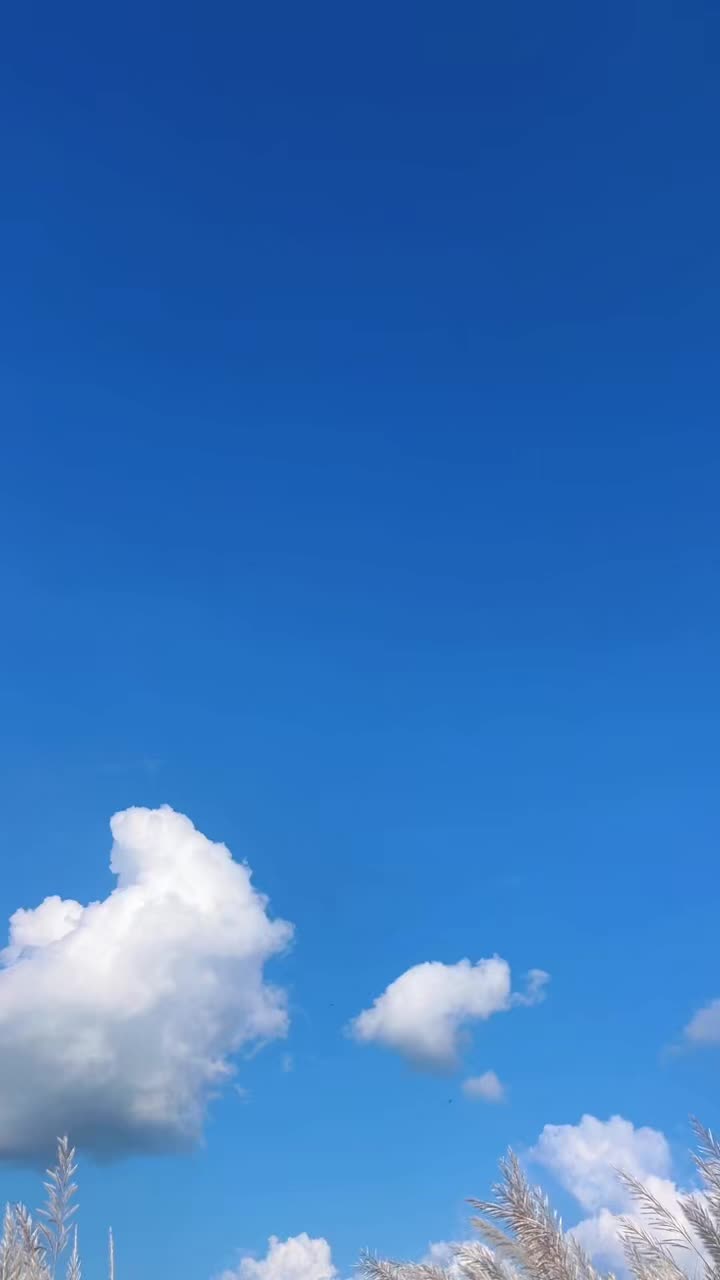 @March8☯️