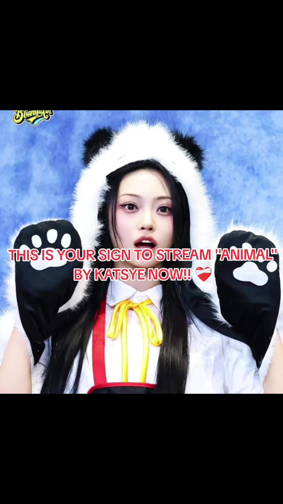 @⋆｡˚꒰ঌ♡𝑴𝑬𝑳𝑶 🐼 ໒꒱˚｡⋆