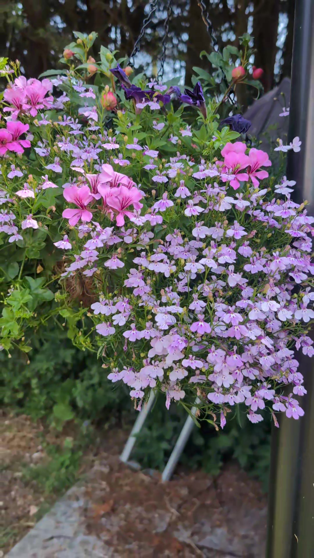 @Court Farm: Home & Garden