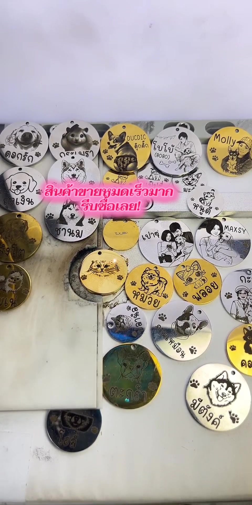 @DIYอุปกรณ์สัตว์เลี้ยง