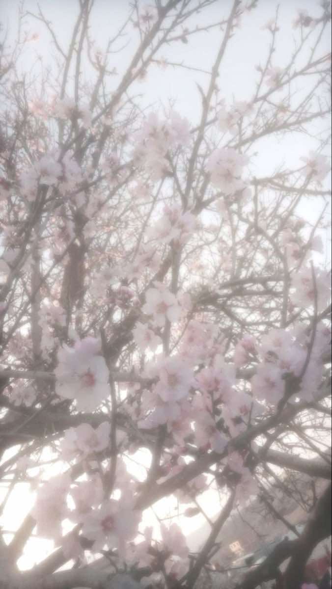 @きあᢉ𐭩