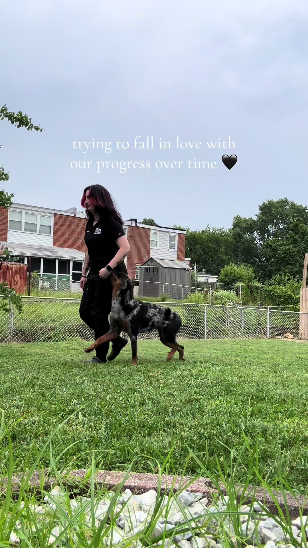 @valkyrie.the.beauceron
