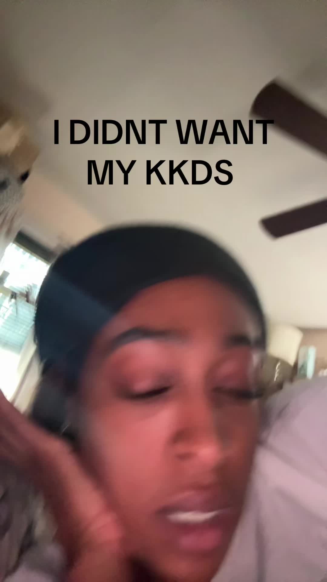 @DAECollection