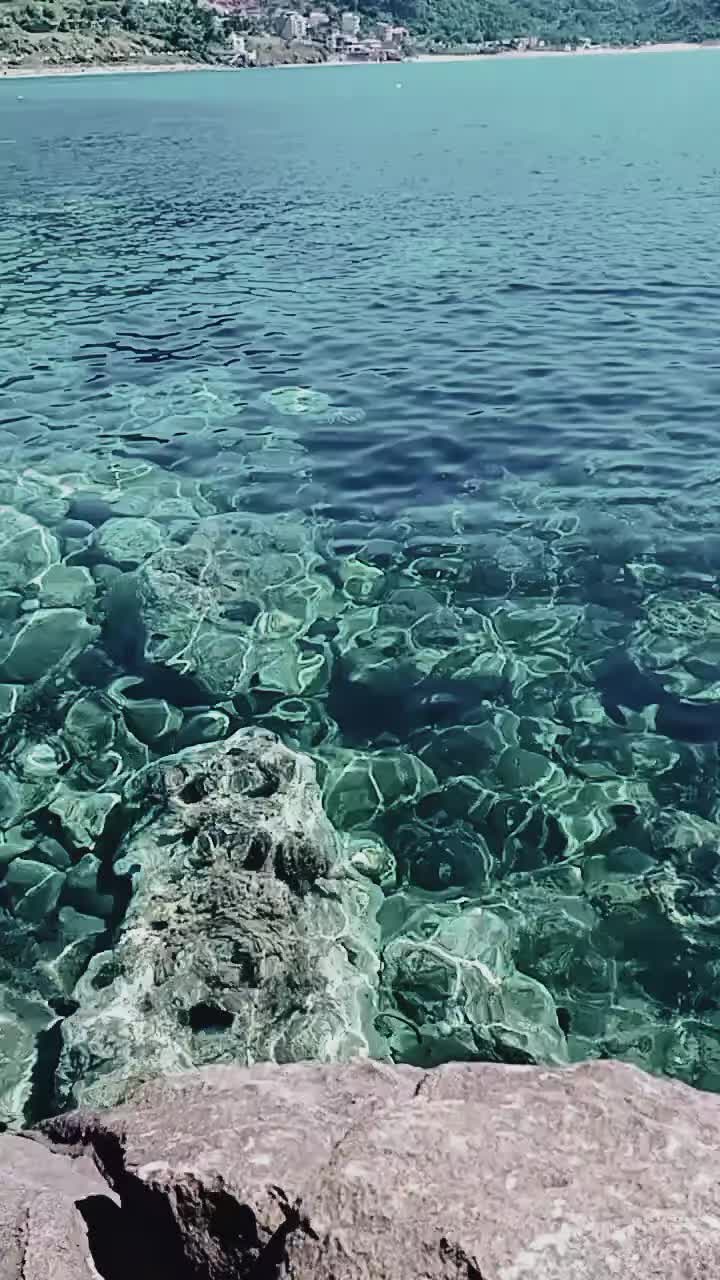 @ⓃⒶⒹⒾⓇ⊙ⒹⓏ⊙ⒻⓇ