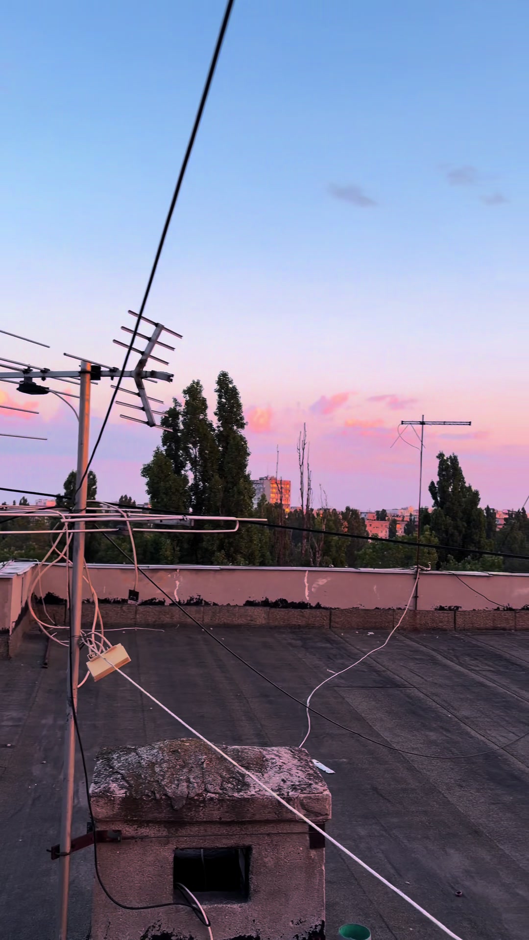 @даня🌴