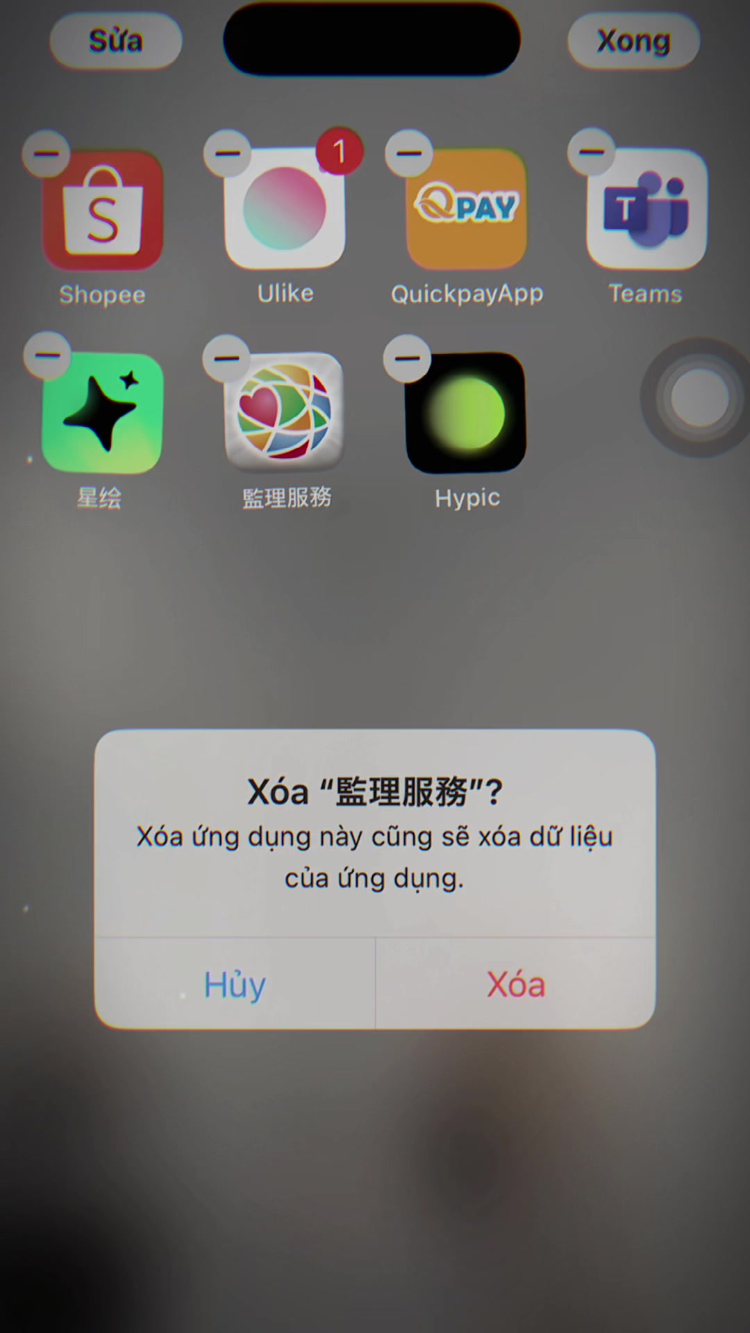 @🇻🇳xiaoying🇹🇼