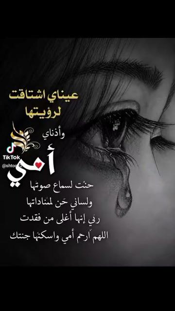 @Amina amouna