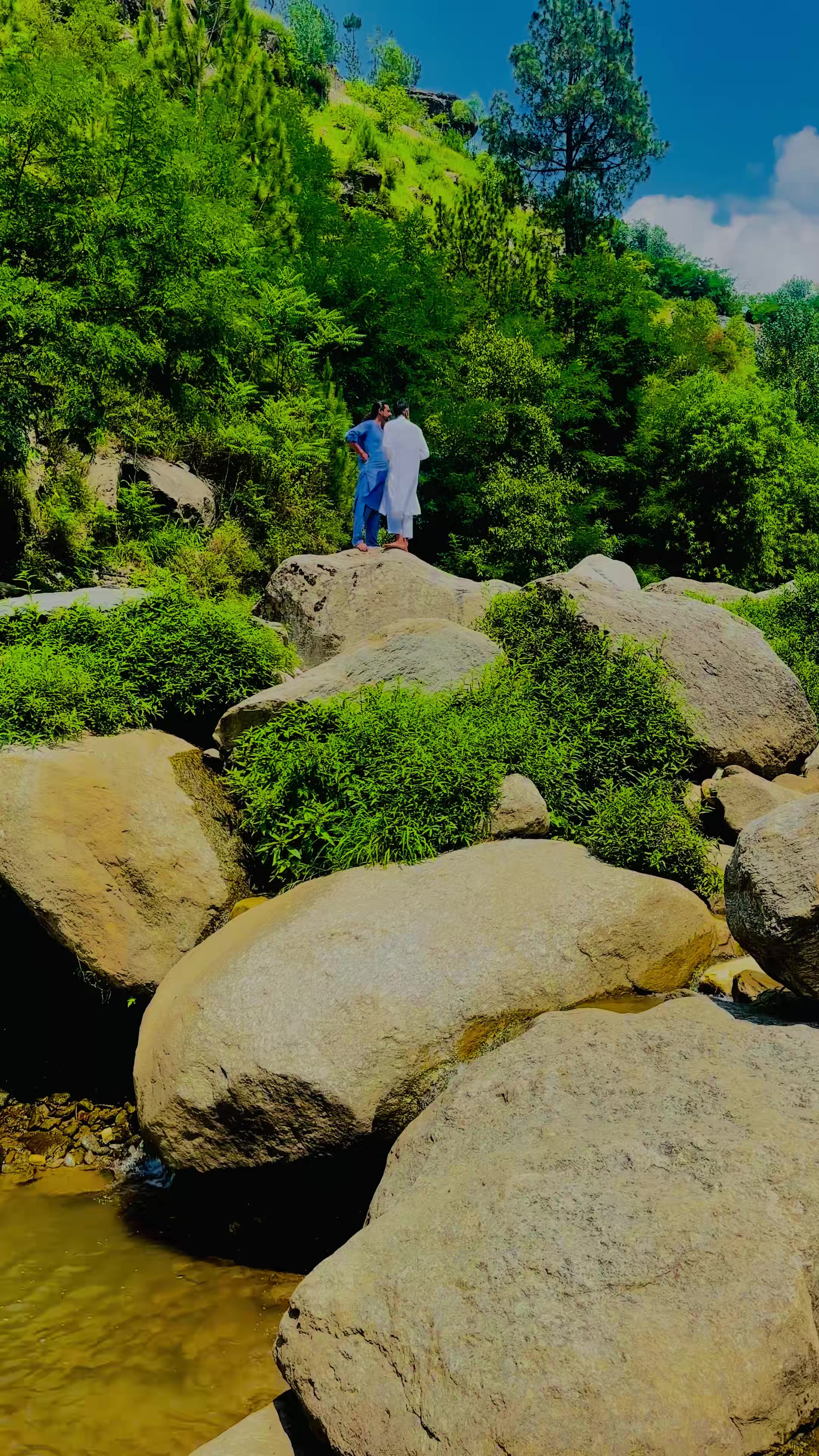 @Abu Pathan 2433