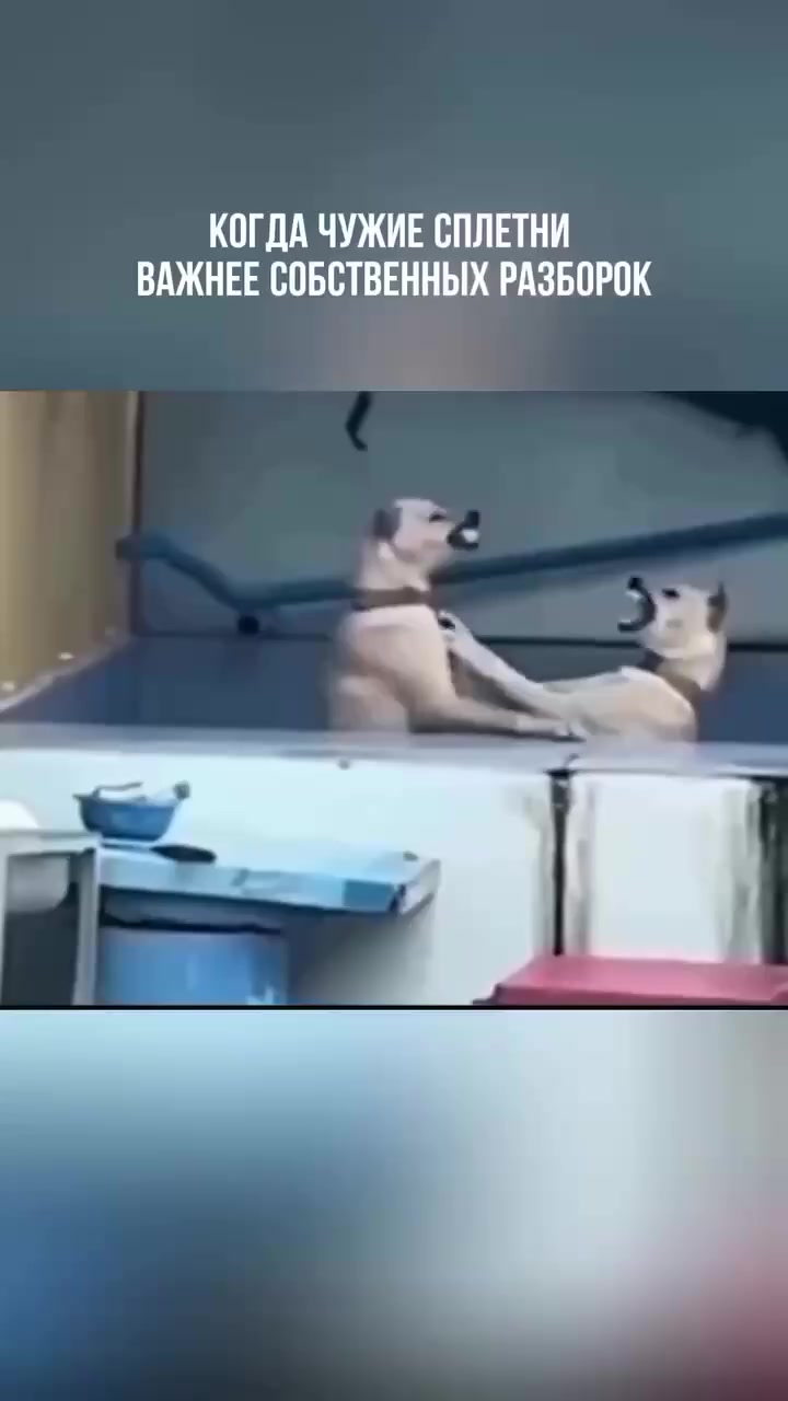 @КОМАРИХА
