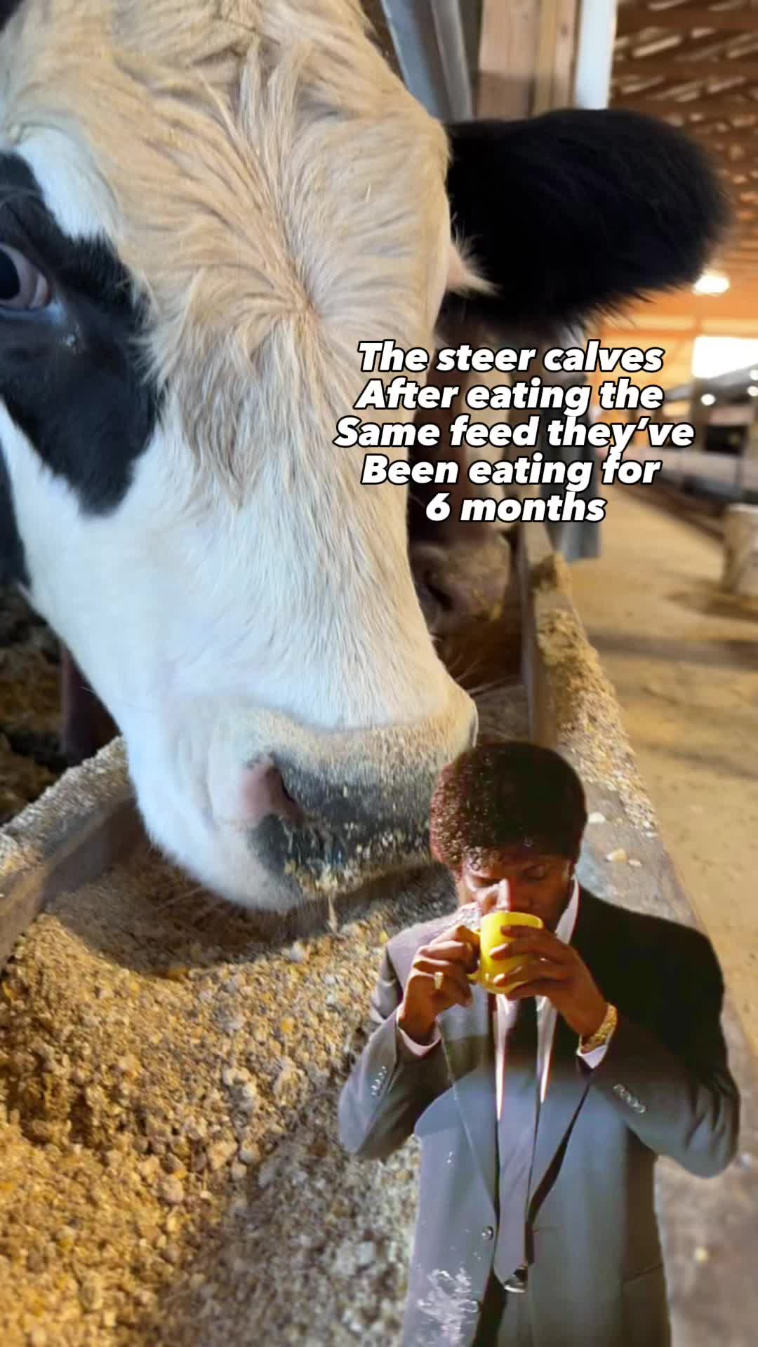 @Farmer Dan