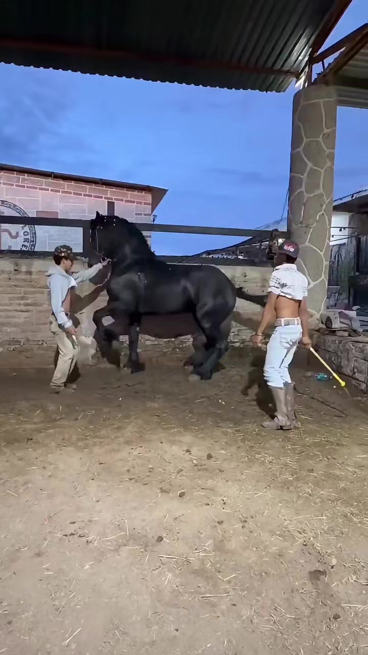 @lia32