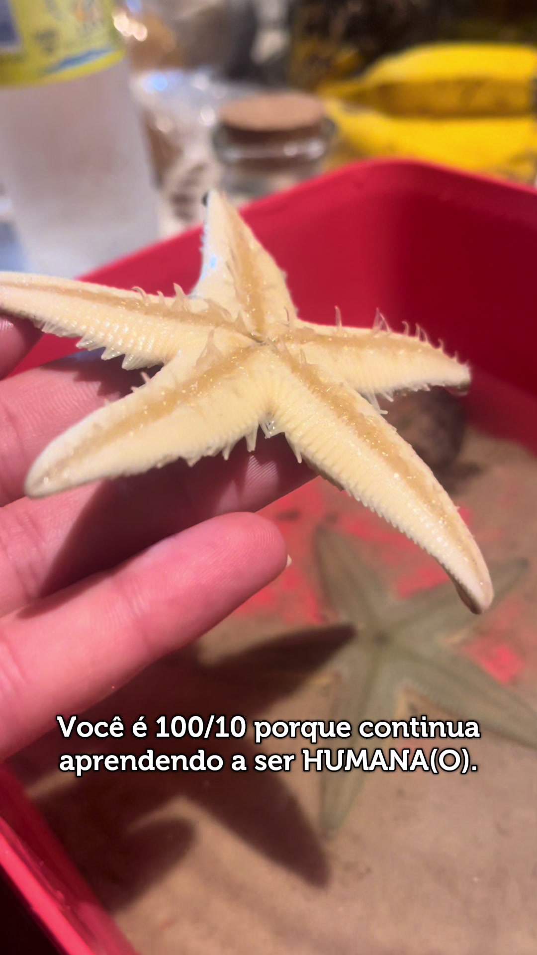 @Bruna Paz ✨