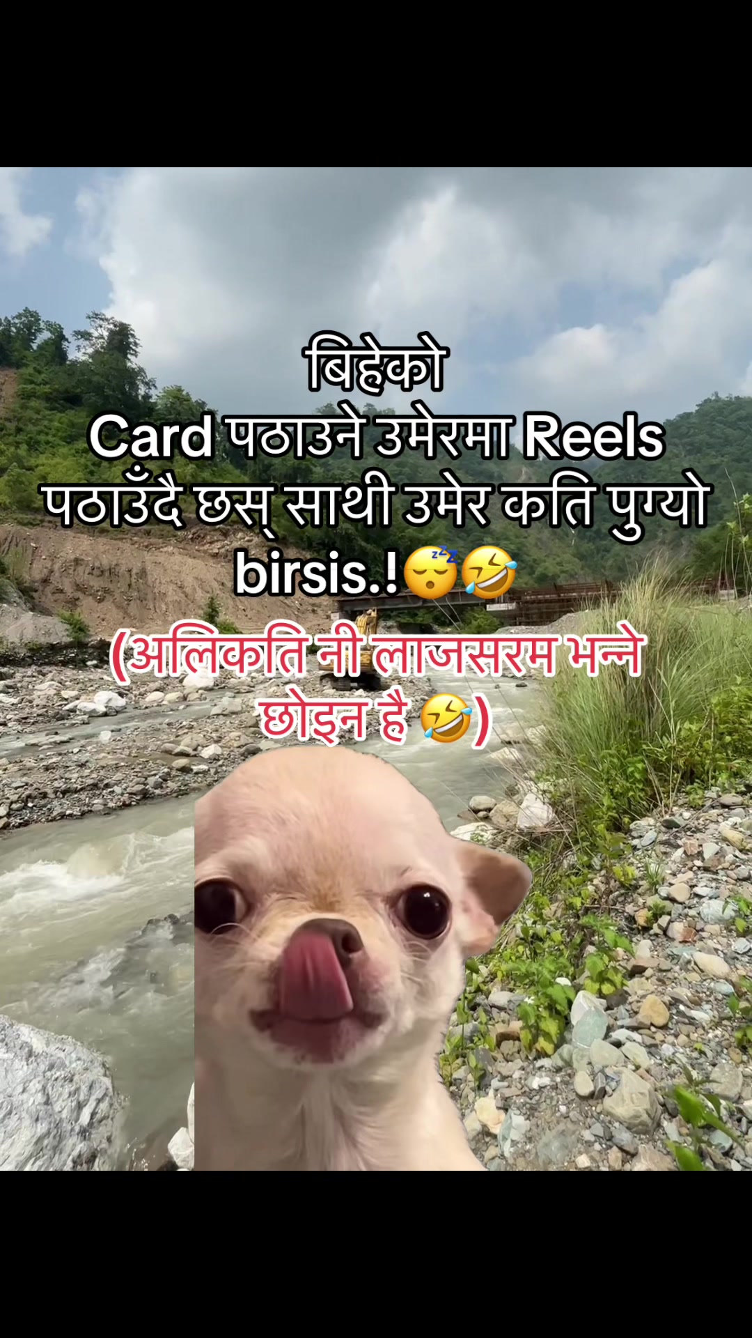 @अजय राज धामी 🇵🇹