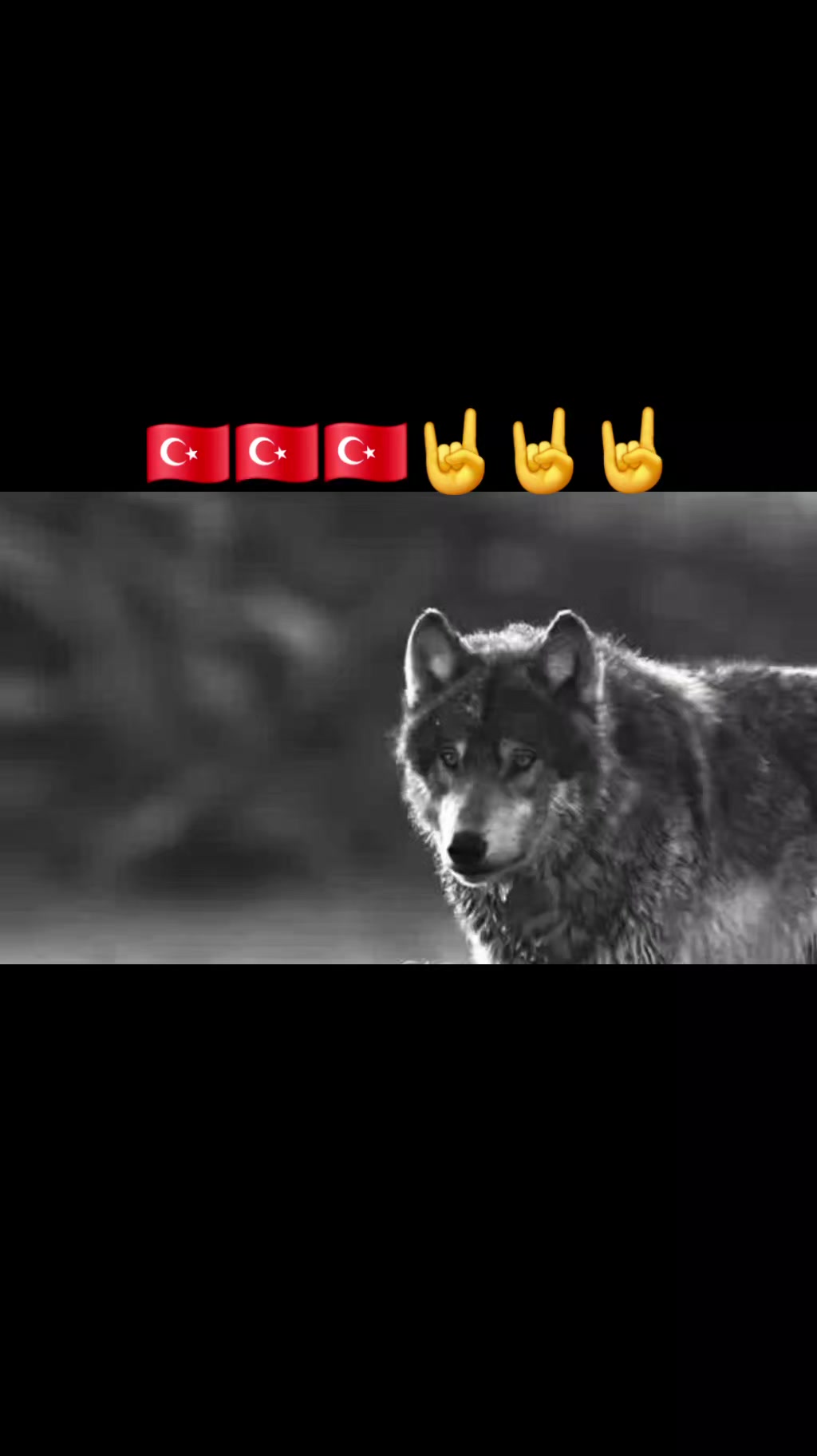 @🇹🇷Murat19051🇹🇷