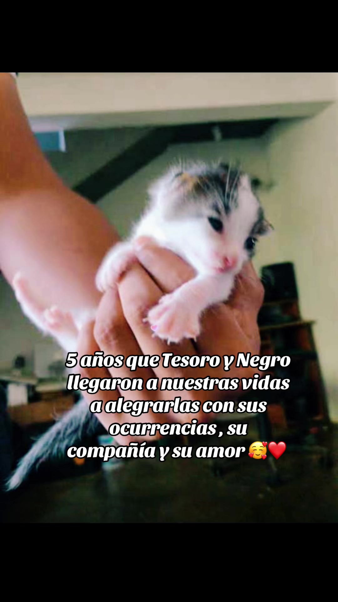 @Marlyn M. 😻💖
