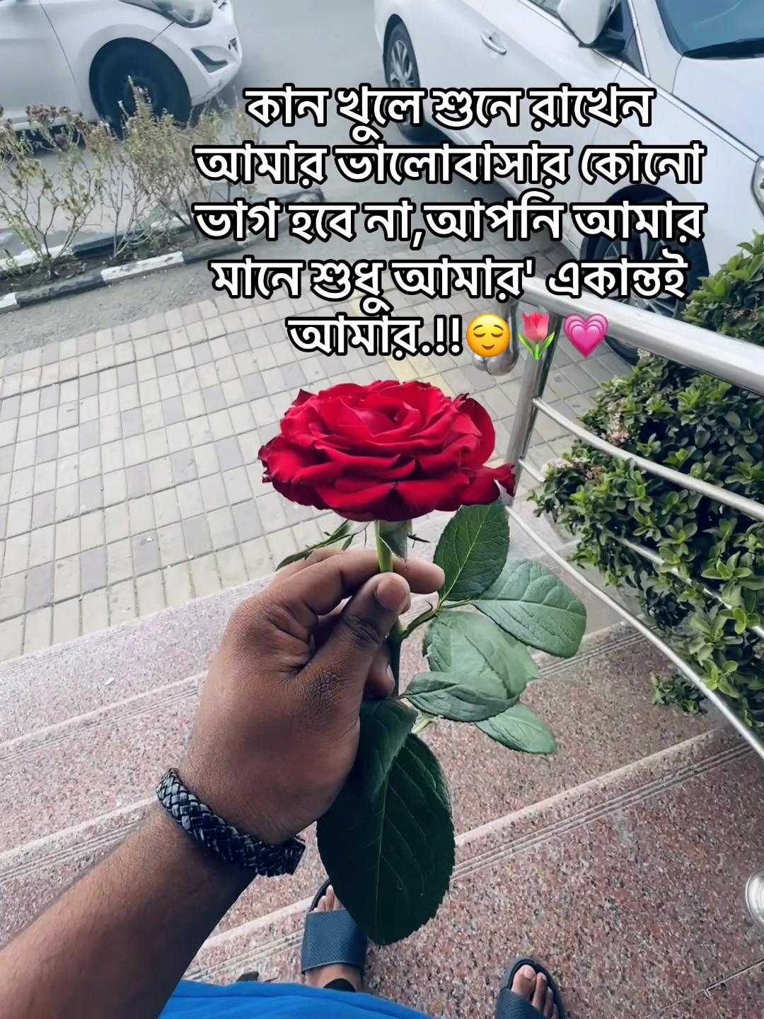 @đ¸đĻSUMON īŖŋ