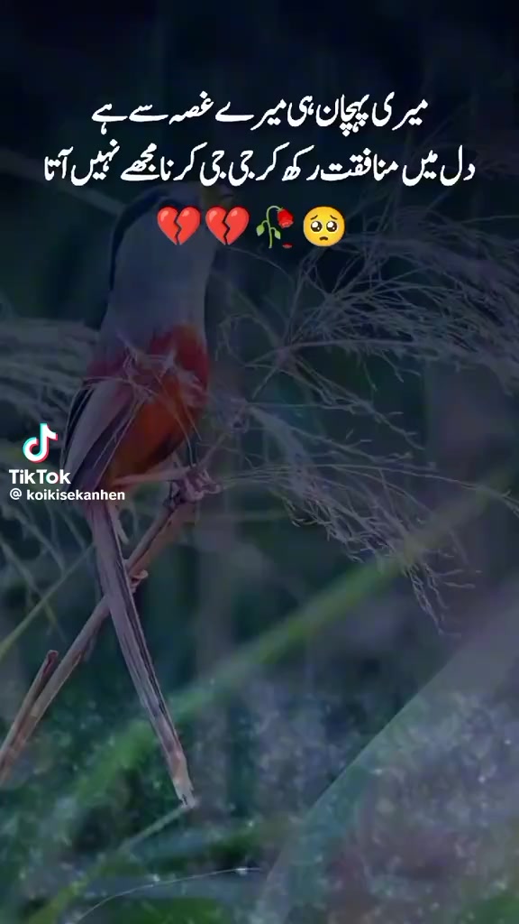 @ᰔᩚAᗰᗩᒪ...NᗩEEᗰ✿