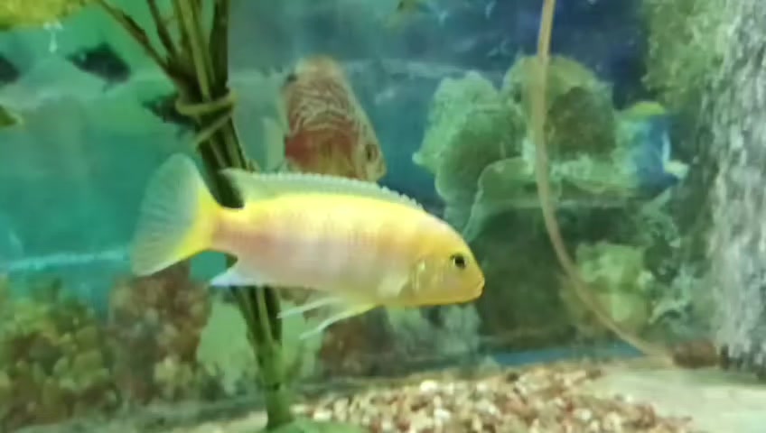 @𝐌𝐞𝐡𝐮𝐮 🕊️