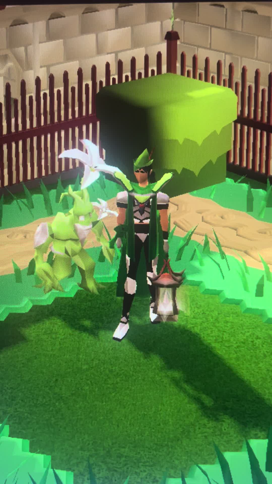 @chia.osrs