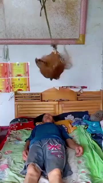 @ZACK ANGGARA KDI