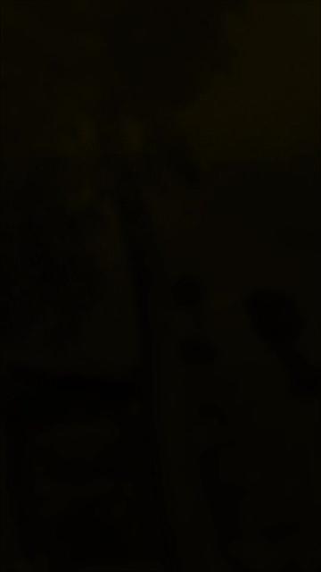 @anjalikujur63