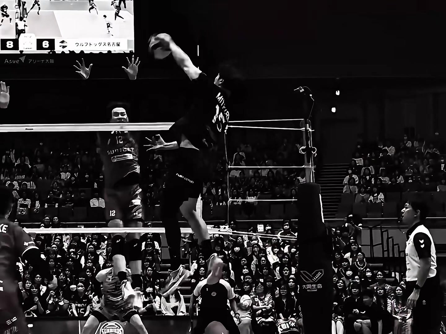 @VolleyballEdits