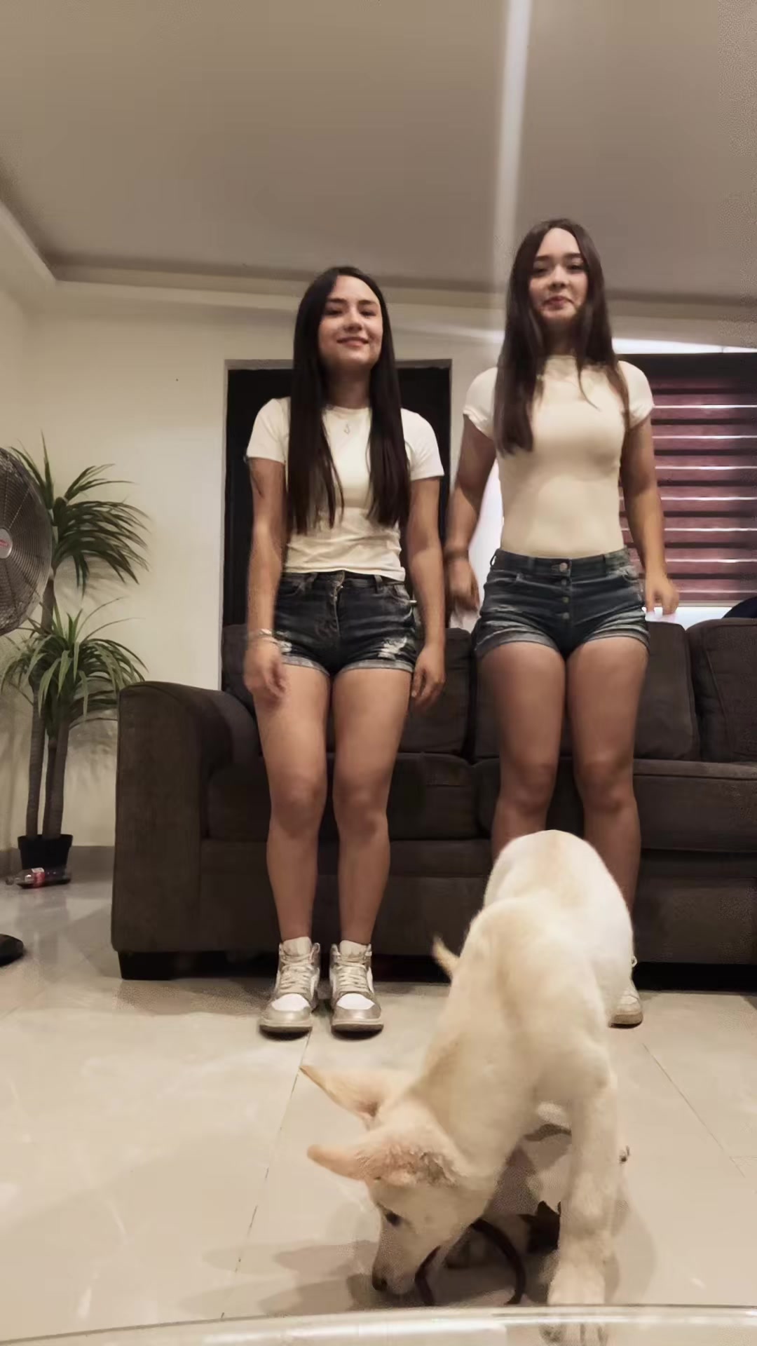 @bombón