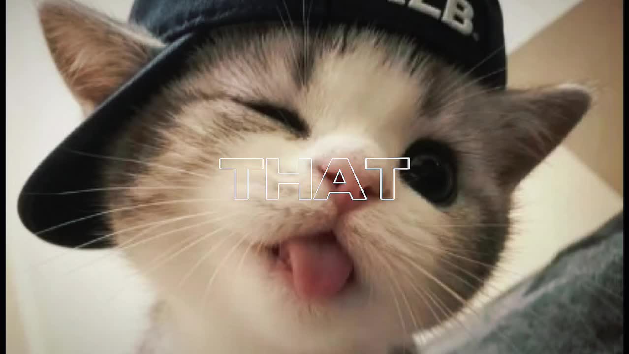 @cat army