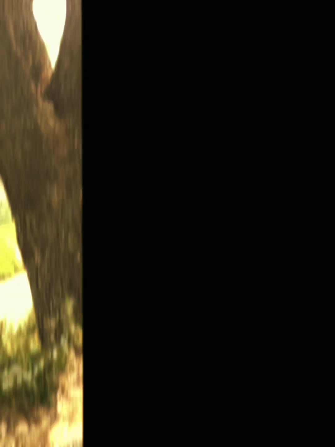 @𓂃ン𝑅𝑜𝑆𝑒ン𓂃