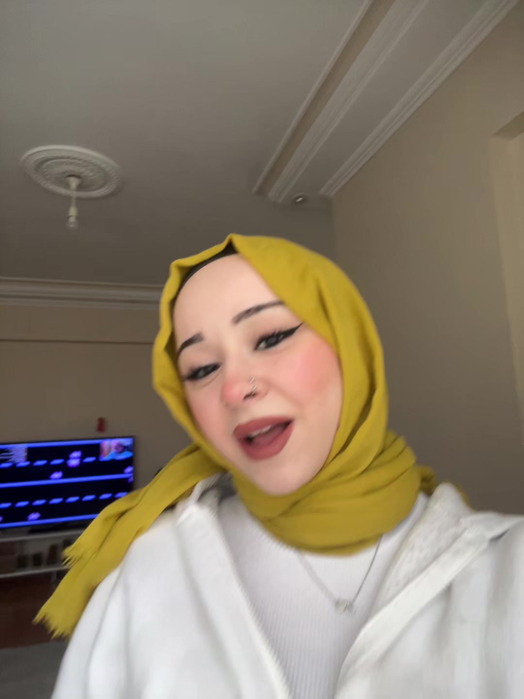 @Findissstikk