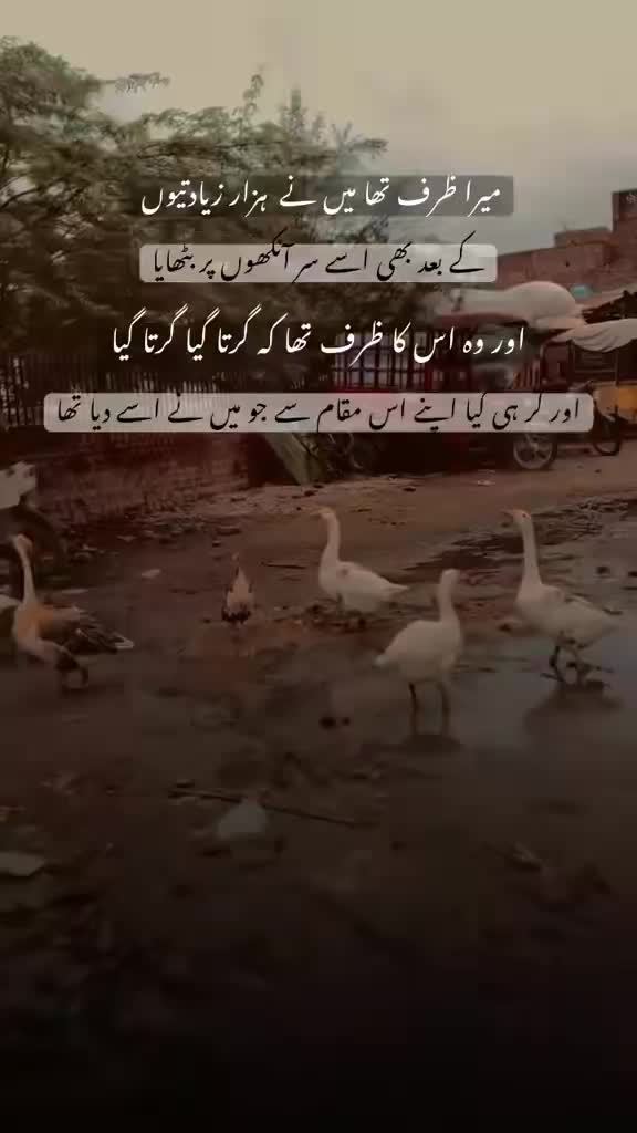 @Mehroo
