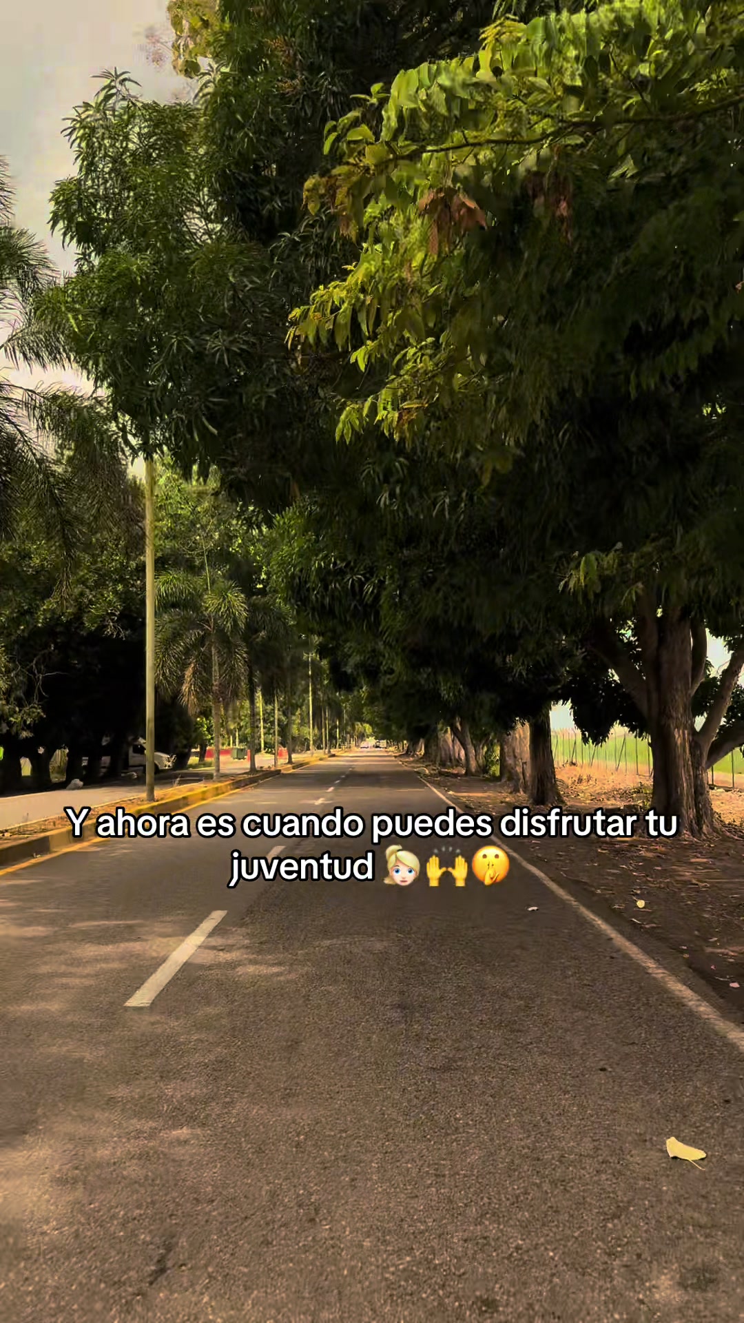 @EiverBaqueroContenidos