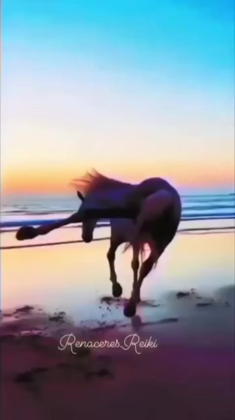 @Vivi&aacute;n