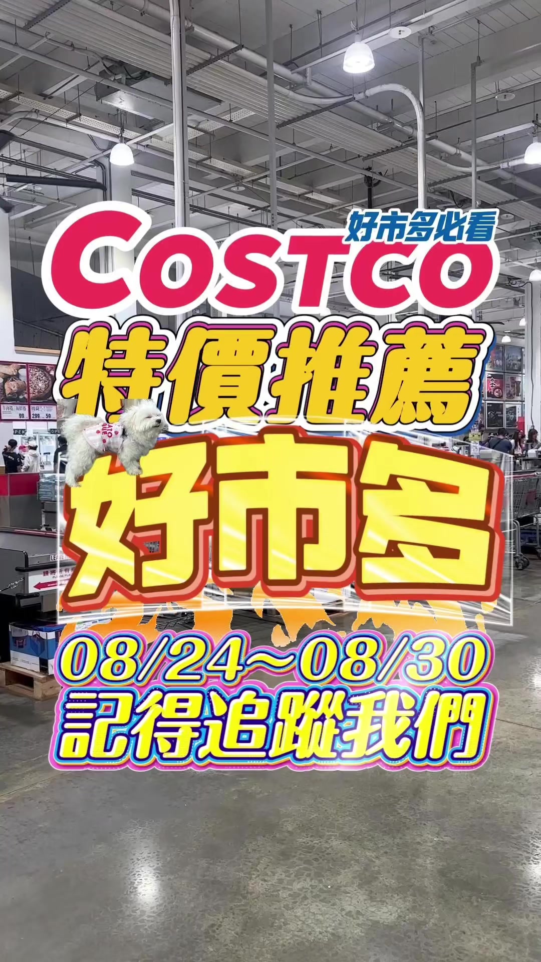 @Youtube搜尋🔍可可酒精
