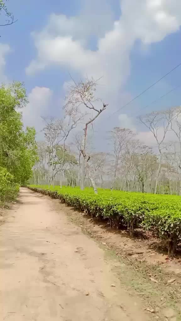 @💝লিপি💝