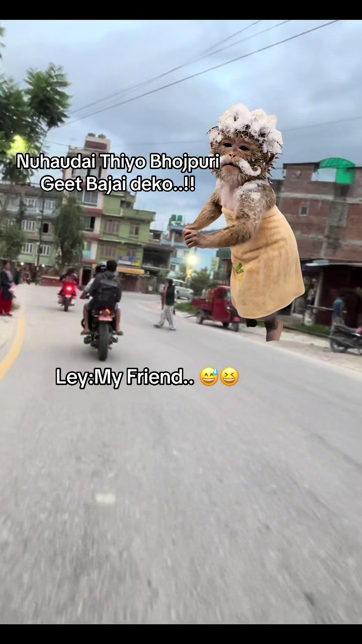 @NIRAJ Thachani