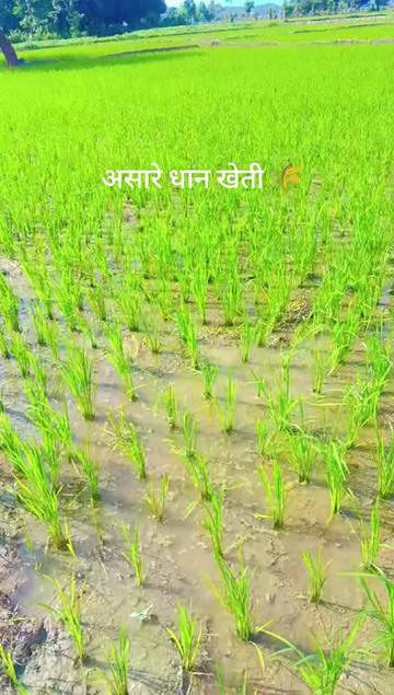@pabanbhattarai1