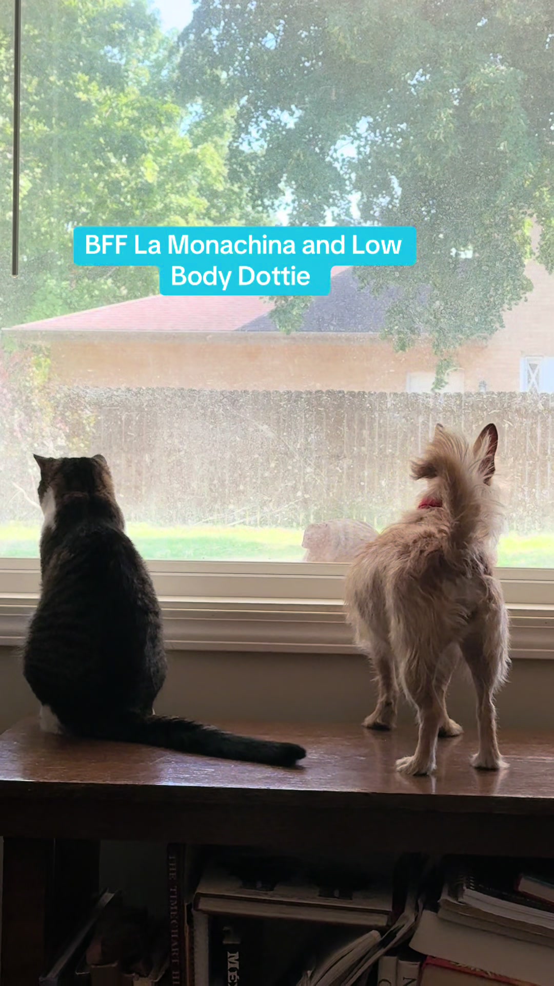 @CreaturePreacher