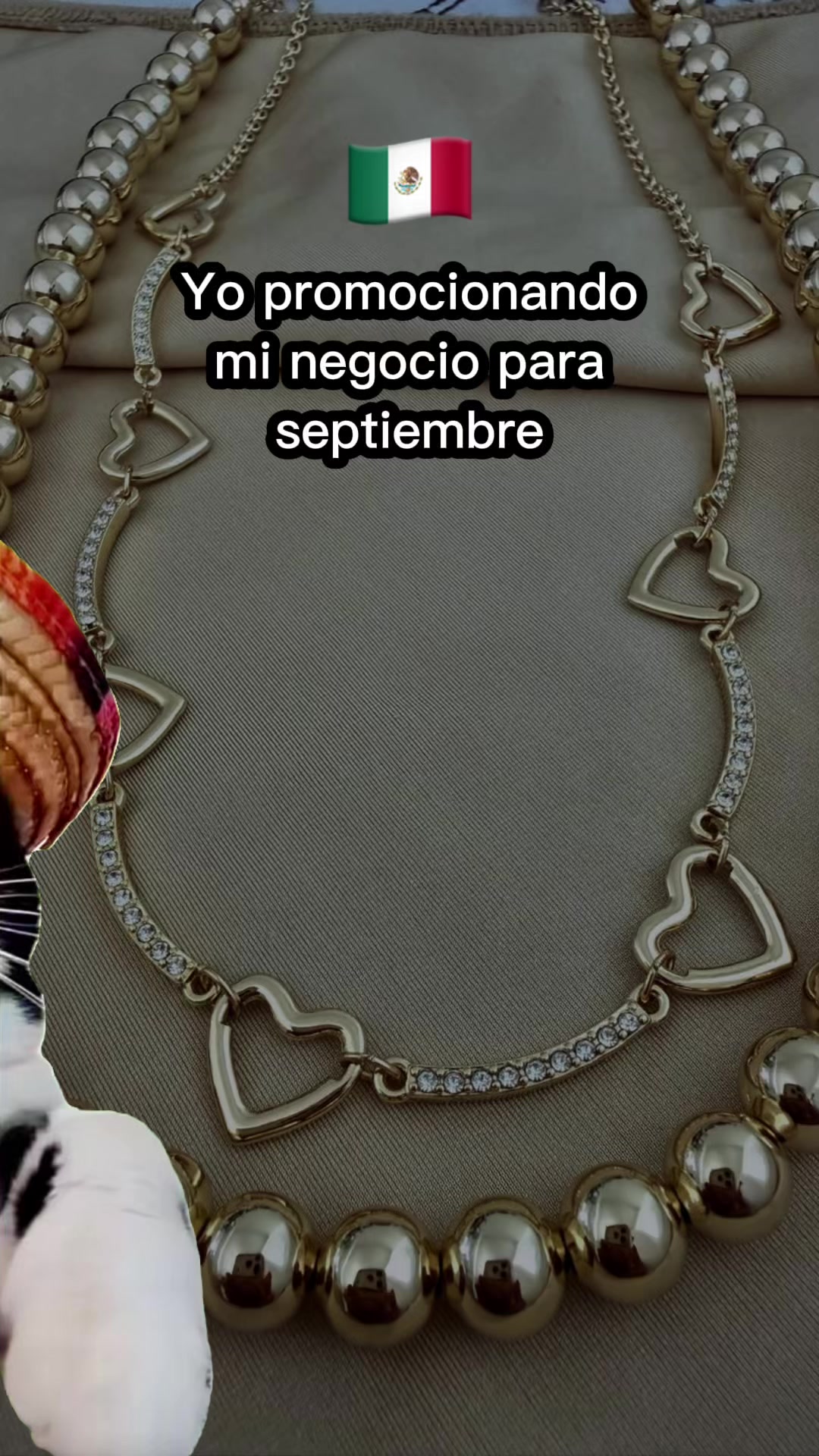 @Elia Ayala