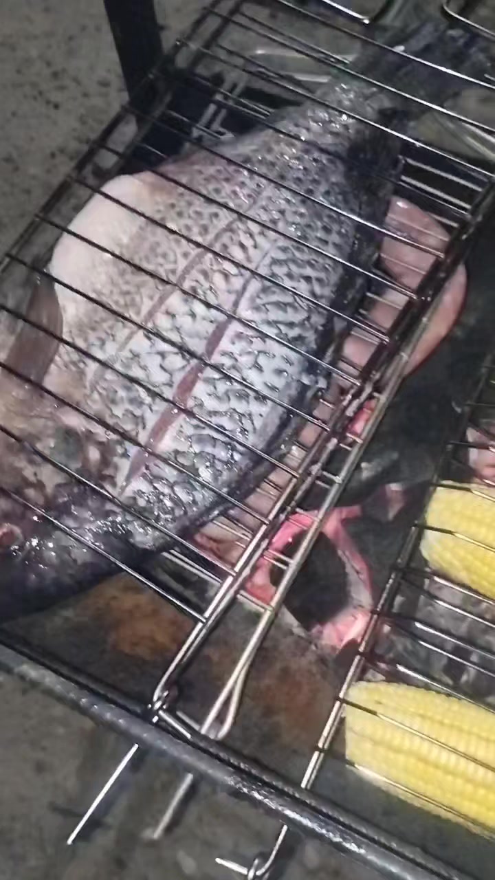 @Diegoalves2313