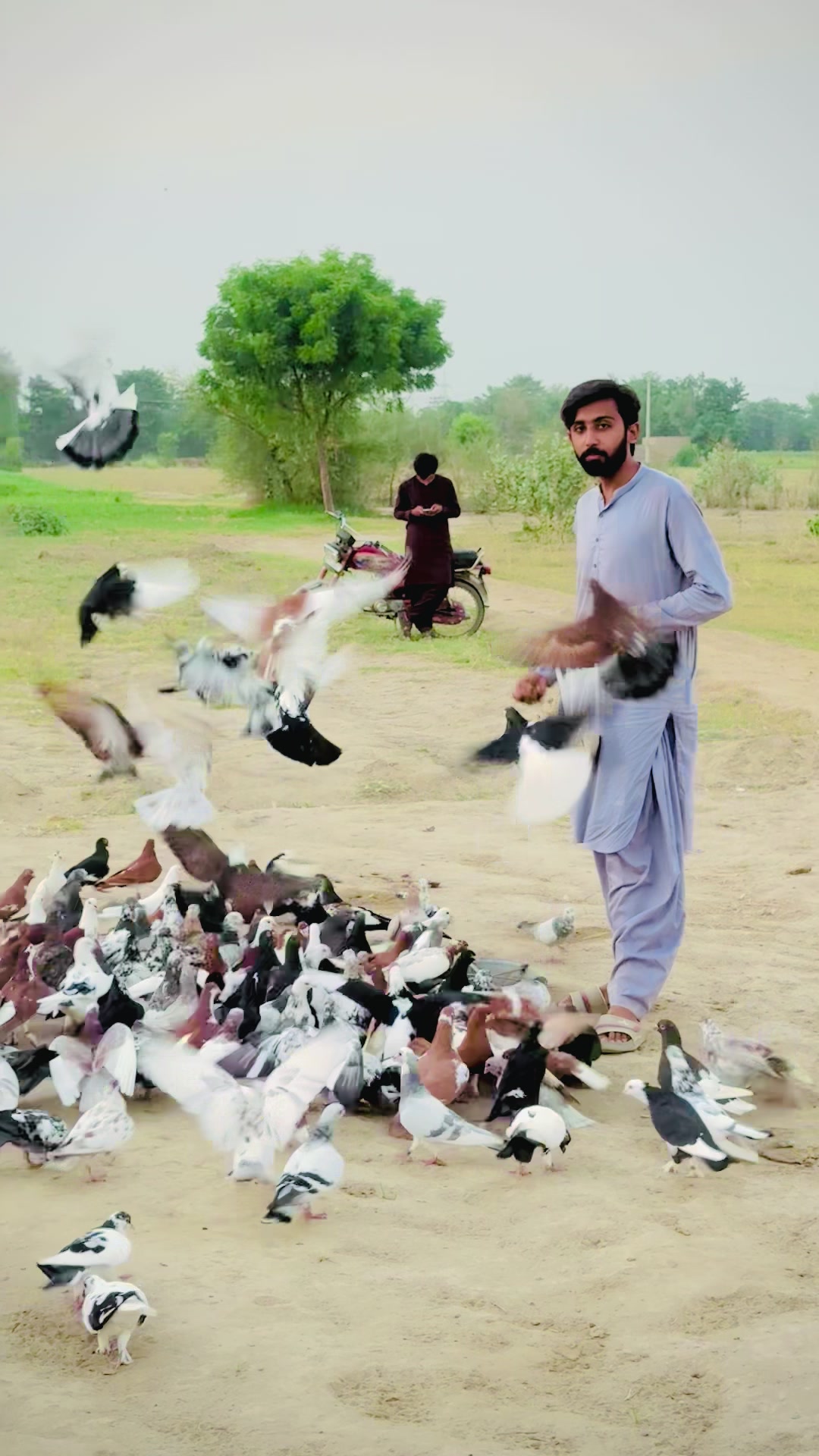 @Haji Qais Malik