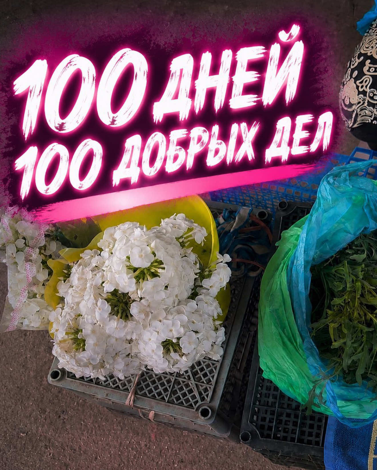 @SAFRONOVA