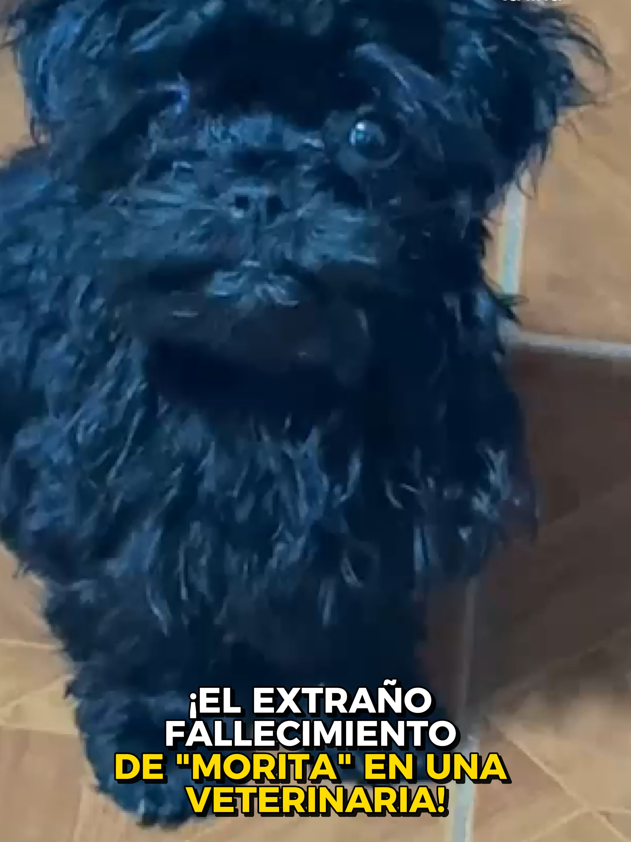 @ArribaMiGente