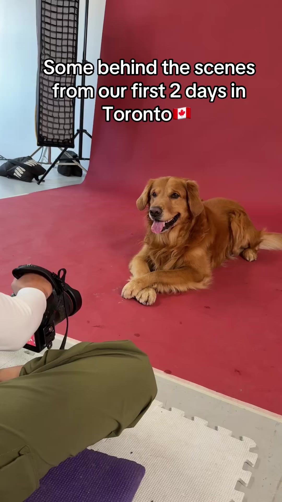 @FLOOFY STUDIOS