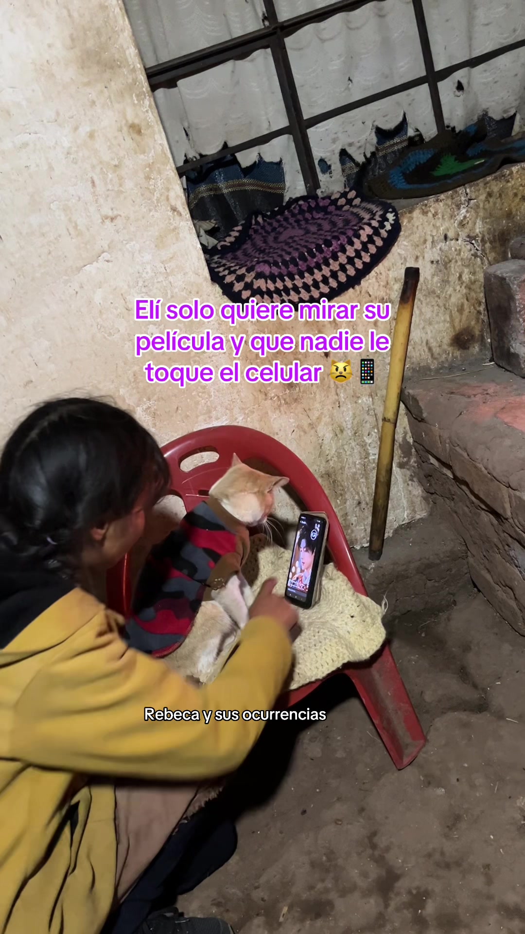 @🐈Rebeca y sus ocurrencias