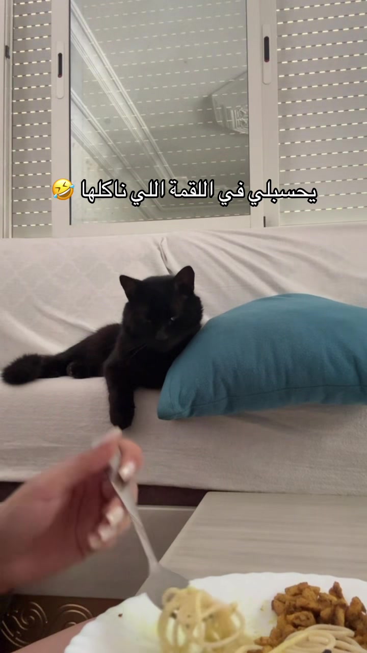 @boumaiza yessmin